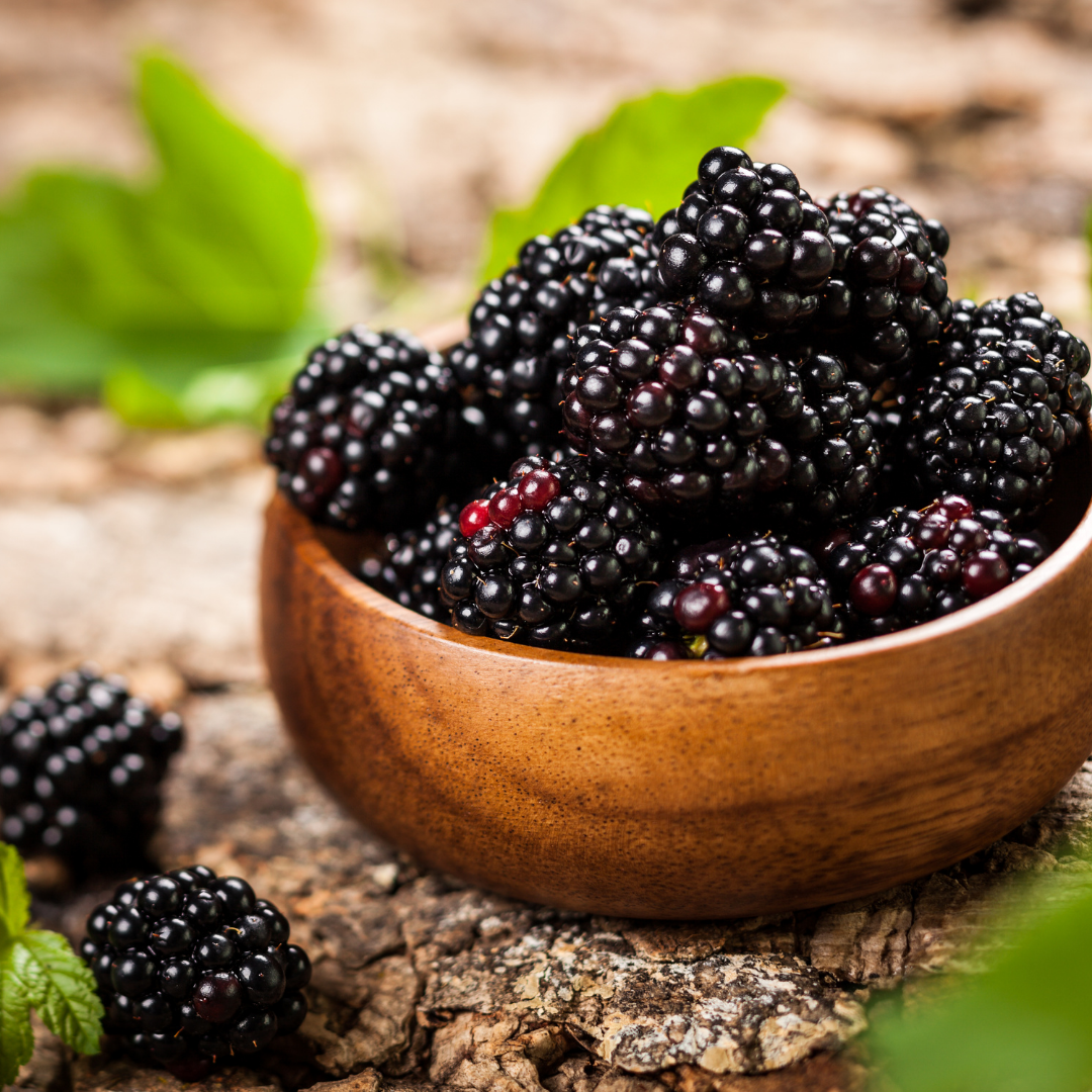 Herb of the Week: Blackberry (Rubus fruticosus)