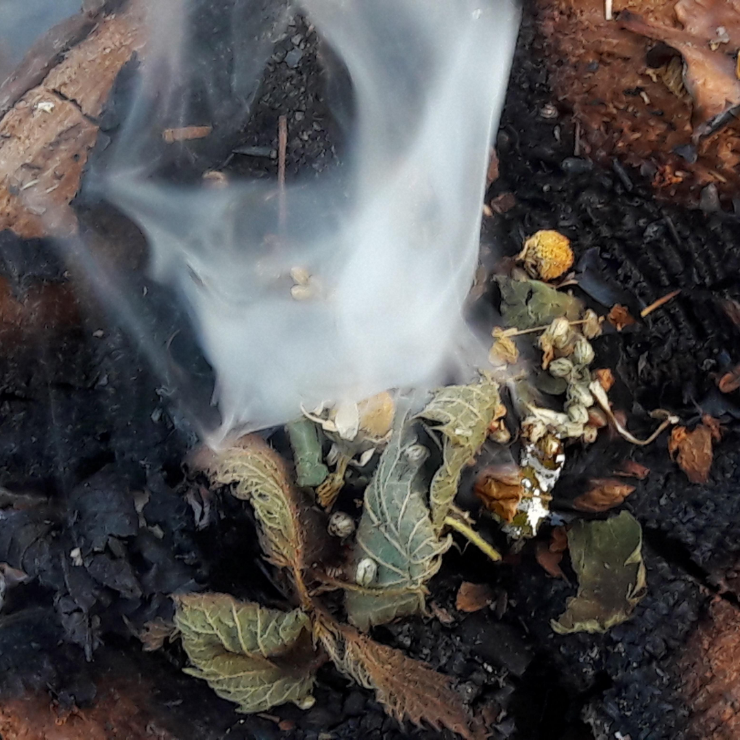 Sacred Medicine Integration Package - 3 Sessions