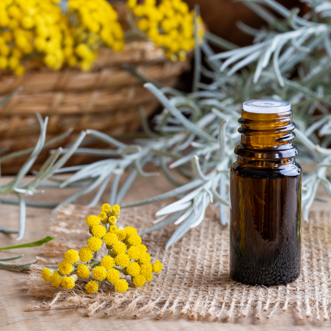 🌼 Oil of the Week: Helichrysum Essential Oil (Helichrysum italicum)