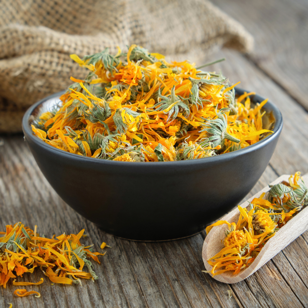 🌼 Herb of the Week: Calendula (Calendula officinalis)