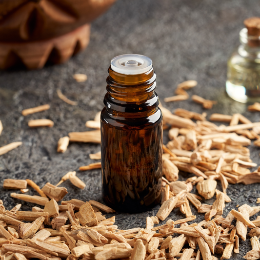 🪵 Oil of the Week: Cedarwood Essential Oil (Cedrus atlantica)
