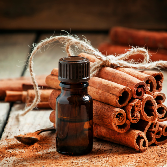 🔥 Oil of the Week: Cinnamon Essential Oil (Cinnamomum verum)