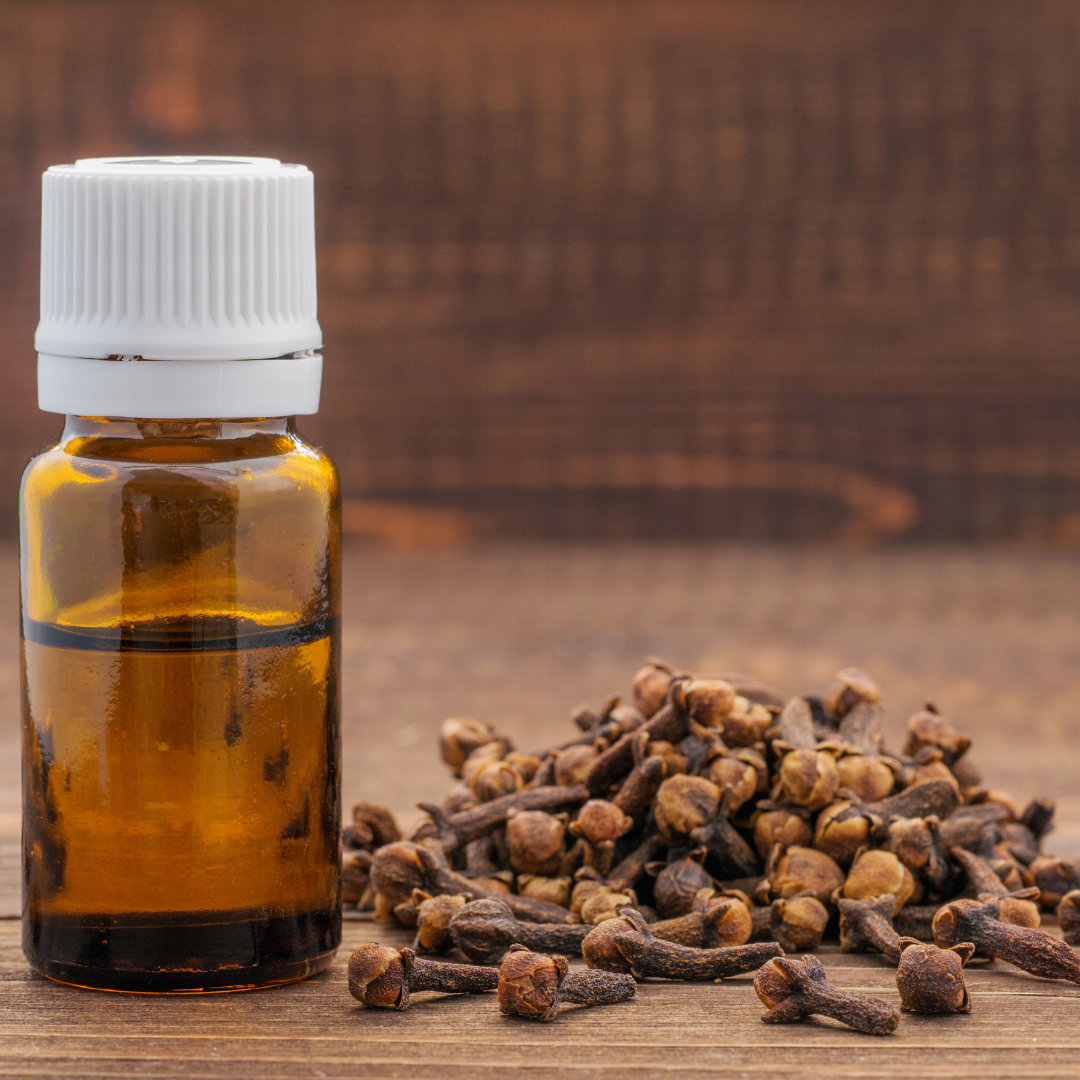 🔥 Oil of the Week: Clove Essential Oil (Syzygium aromaticum)