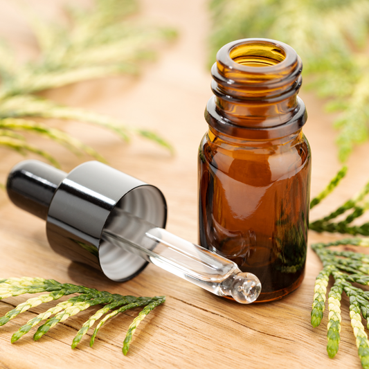 🌲 Oil of the Week: Cypress Essential Oil (Cupressus sempervirens)