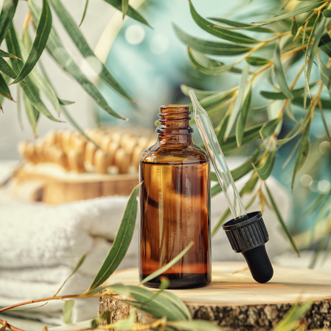 🌬️ Oil of the Week: Eucalyptus smithii (Eucalyptus smithii)