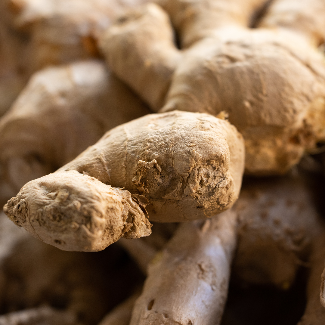 🫚 Herb of the Week: Ginger Root (Zingiber officinale)