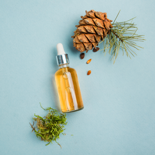 Oil of the Week: Pine Essential Oil (Pinus sylvestris)