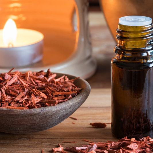 Oil of the Week: Sandalwood Essential Oil (Santalum album)