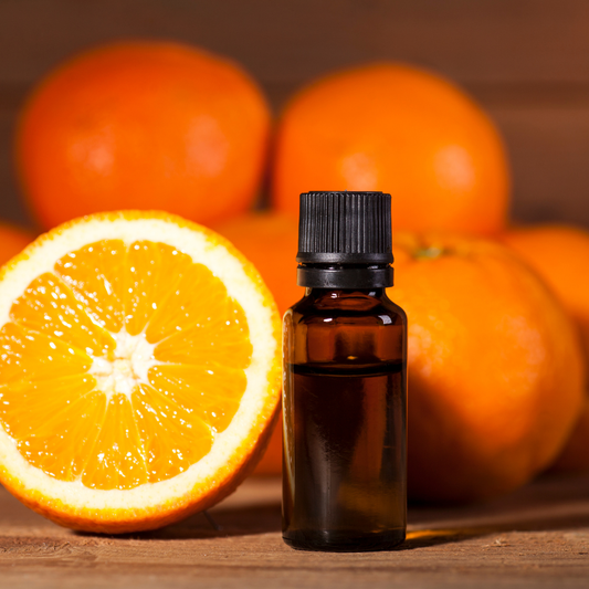 🍊 Oil of the Week: Sweet Orange Essential Oil (Citrus sinensis)
