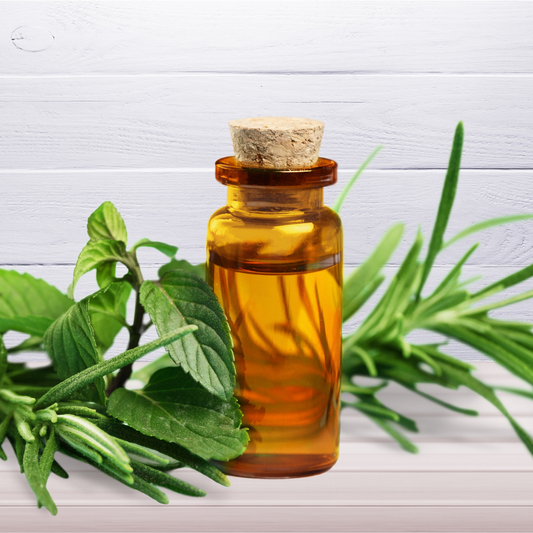 🌳 Oil of the Week: Tea Tree Essential Oil (Melaleuca alternifolia)