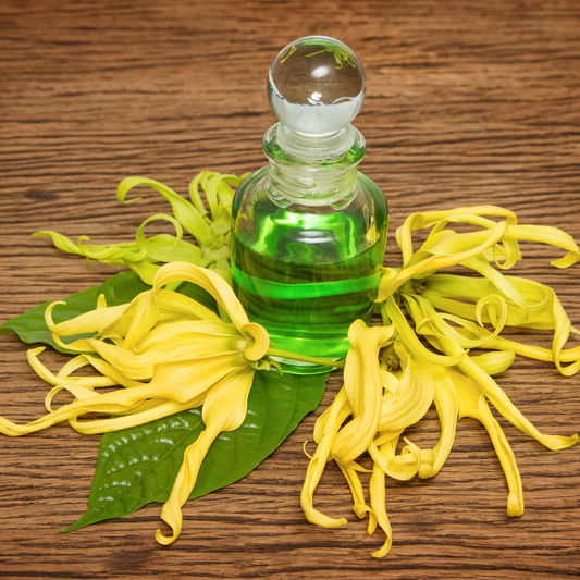 🌺 Oil of the Week: Ylang Ylang Essential Oil (Cananga odorata)